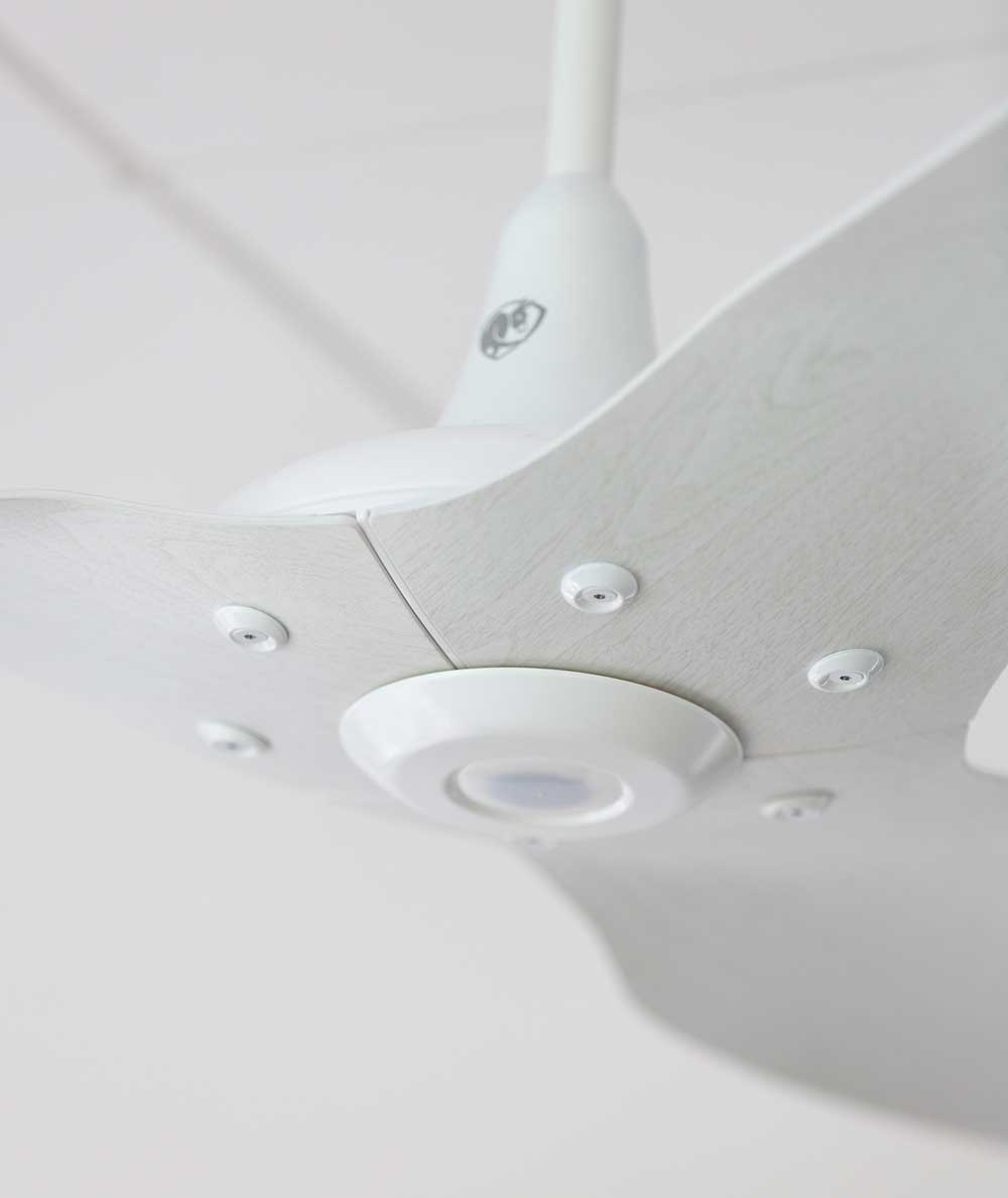 Haiku in Driftwood Big Ass Fans